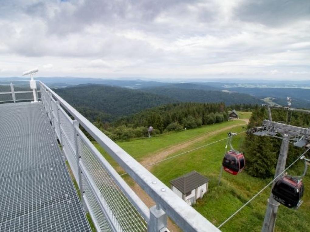 Welded standard 1.jpg