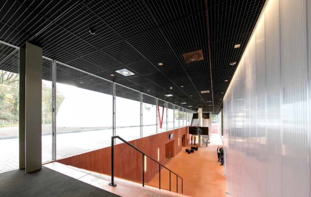 RR roosters Museumplein Limburg Staco Nederland 04.jpg