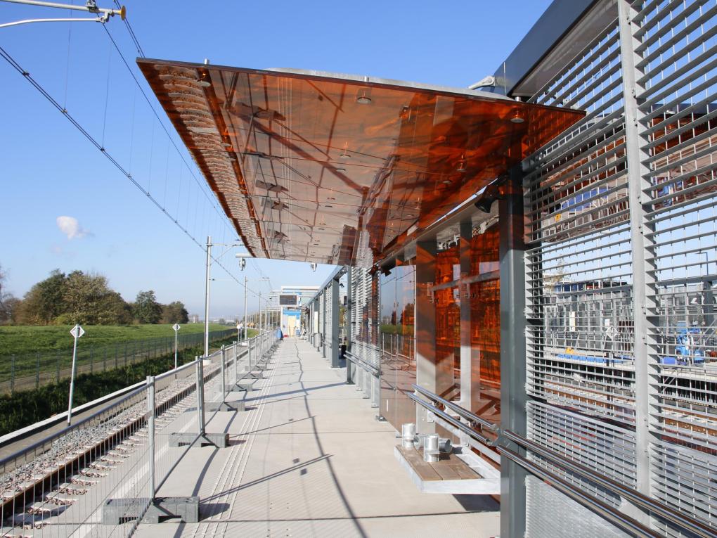 Screening and fencing 2.JPG